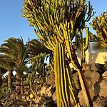 Villa Casa Ronda Charco del Palo