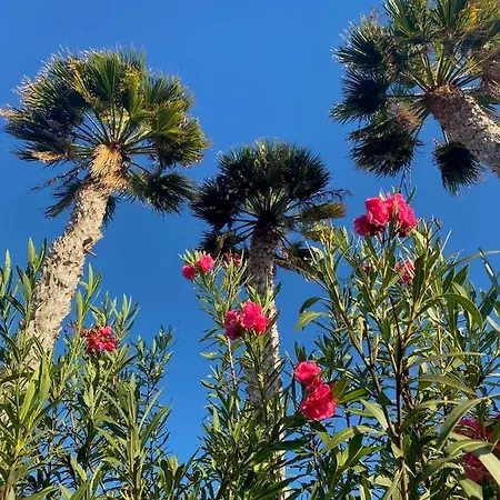 Villa Casa Ronda Charco del Palo