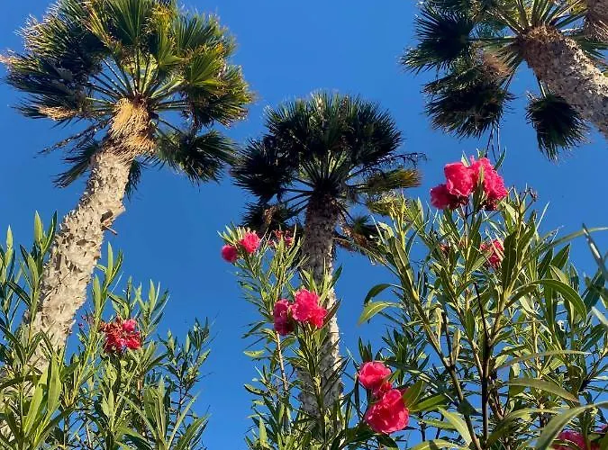 Willa Casa Ronda Charco del Palo