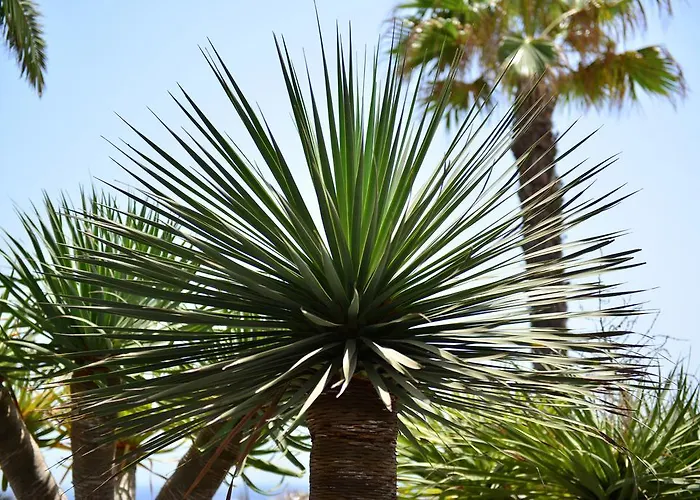 Casa Ronda Willa Charco del Palo