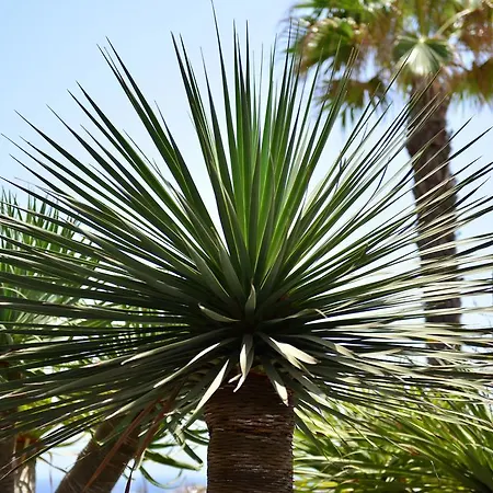 Casa Ronda Willa Charco del Palo